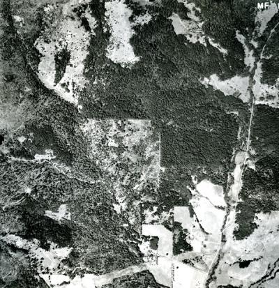 A sample of the McDonald Forest Aerial Photographs collection.