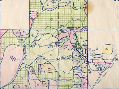 McDonald Forest and Peavy Arboretum Type Map, 1940.