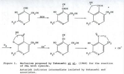 Figure 1 from Martha Ann Hammond's master's thesis titled "Determination of Vitamin B6 Compounds in Human Blood by the Cyanide Method," December 3, 1969.
