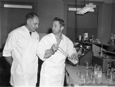 Roy Wilfred Stein and William E. Sandine, junior bacteriologist, transfering raw milk to a petri dish where milk will be sealed and incubated, ca. 1960s.