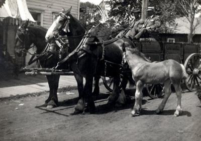 Image of a Clydesdale horse team annotated: "July 4th La Grande Reynolds Team - about 1920."