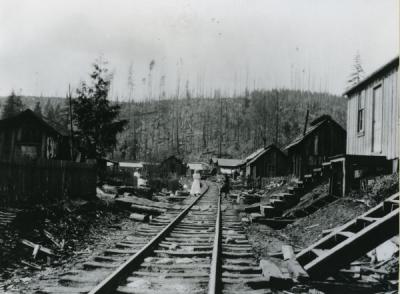 Unidentified railroad line, perhaps running through the Oregon Coast Mountain Range, ca 1910s.