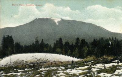 Marys Peak near Corvallis, Oregon, hand colored postcard, circa 1910s.