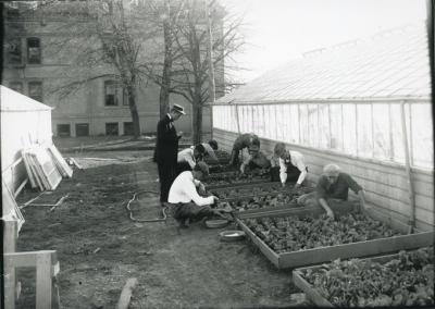 OAC students with cold frames next to college greenhouses