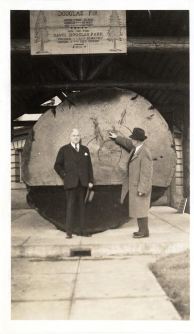 Douglas fir log. John Jacob Astor Branch Station, Agricultural Experiment Station near Northrup Creek, ca. 1940.