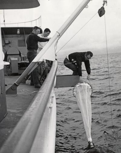 Bruce Wyatt, Lyle Hubbard and an unidentified man on the deck of a ship, 1965. Bruce Wyatt was a faculty member in the Oceanography Department. The department was officially established July 1, 1959 with Wyatt acting as support staff.