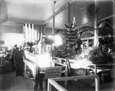 Two men posing at a plant and vegetable exhibit labeled "Exhibit from State Agricultural College, Corvallis, Oregon. Believed to be in Portland, 1905 or Seattle, 1909.