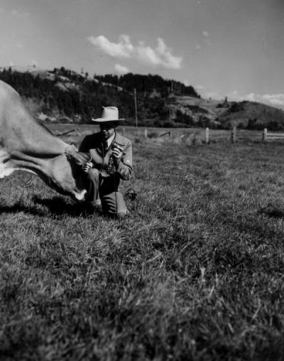 Arnold Ebert of KOAC interviewing a cow, September 1950. Proving that anybody or anything can talk with Arnold Ebert on KOAC, he is caught in the act while interviewing a cow on the Ralph Cope farm near Langlois. He was the radio farm director for KOAC.