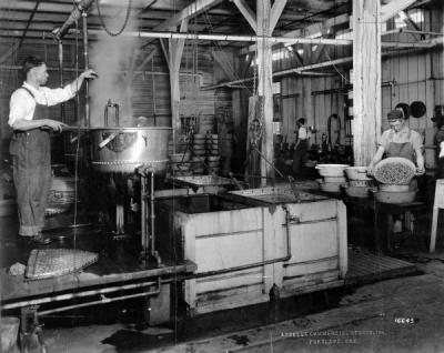 The cooking and washing department of the Starr Fruit Products Company in Portland, Oregon, ca. 1930s.