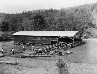 School of Forestry sawmill, 1950.