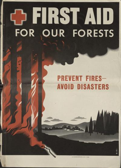 First Aid for Our Forests