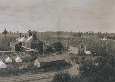 Zoller Hop Company farm in Independence, Oregon, circa 1910.