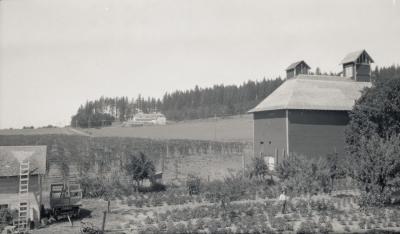 View of Hop Field and Barn, circa 1925