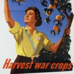 Harvest War Crops poster