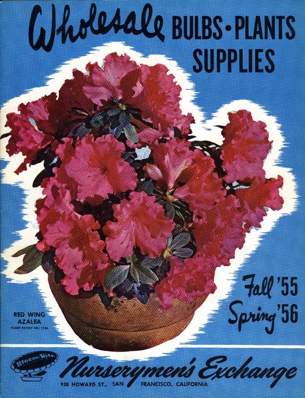 1955.038-cover.jpg