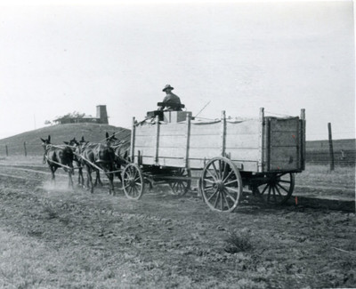 Hauling fruit to the railroad, 1910