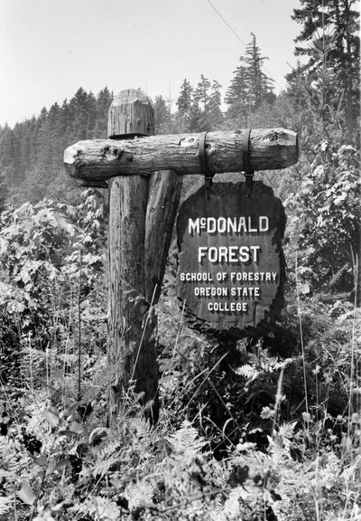 McDonald Forest Entry Sign, 1940