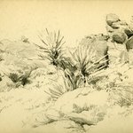 hayward4.003.15-desertsketch-02-900w.jpg