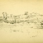 hayward4.003.15-desertsketch-03-900w.jpg